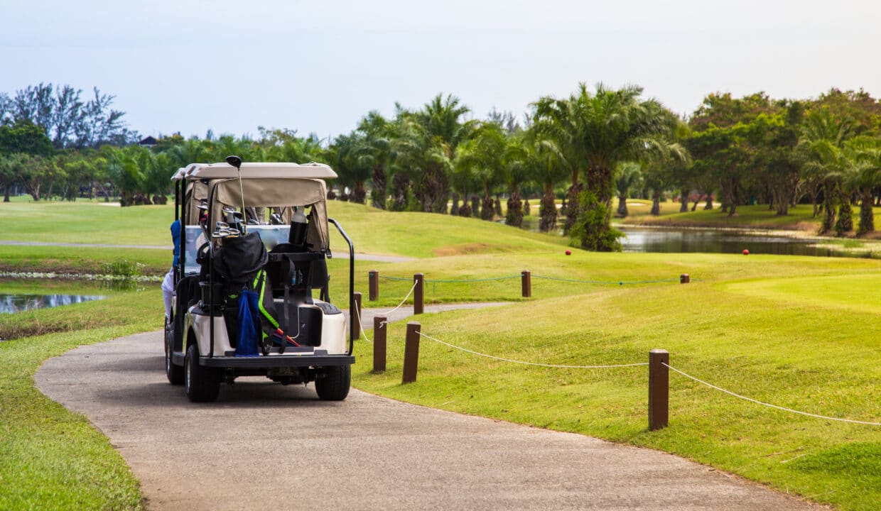 Carrito de golf Cana Bay (2)