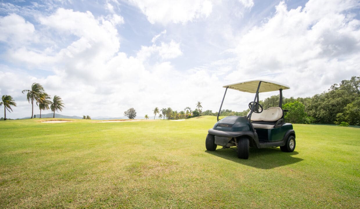 Carrito de golf Cana Bay (3)